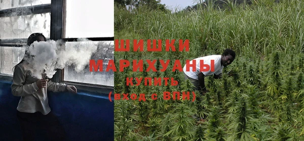 гашик Белоозёрский