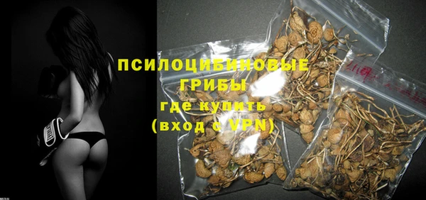 гашик Белоозёрский
