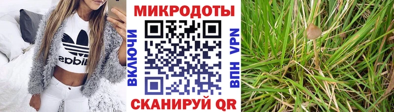 наркошоп  Бикин  блэк спрут ссылки  Псилоцибиновые грибы Cubensis 